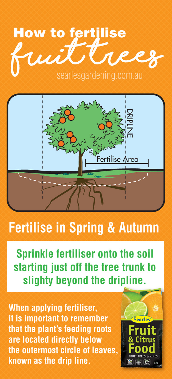 Searles Citrus Planting and Fertilising
